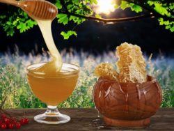 Почему мед не засахаривается