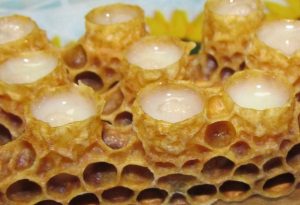 маточное молочко пчелиное полезные свойства